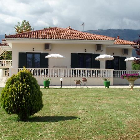 Finikes Studios Kefalonia 萨米 外观 照片