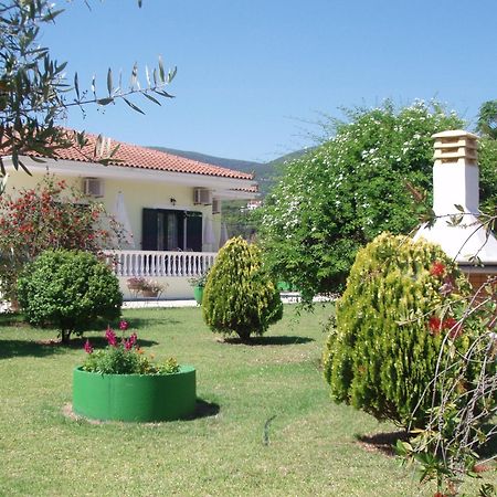 Finikes Studios Kefalonia 萨米 外观 照片