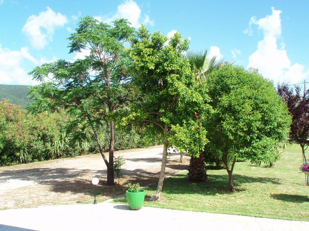 Finikes Studios Kefalonia 萨米 外观 照片