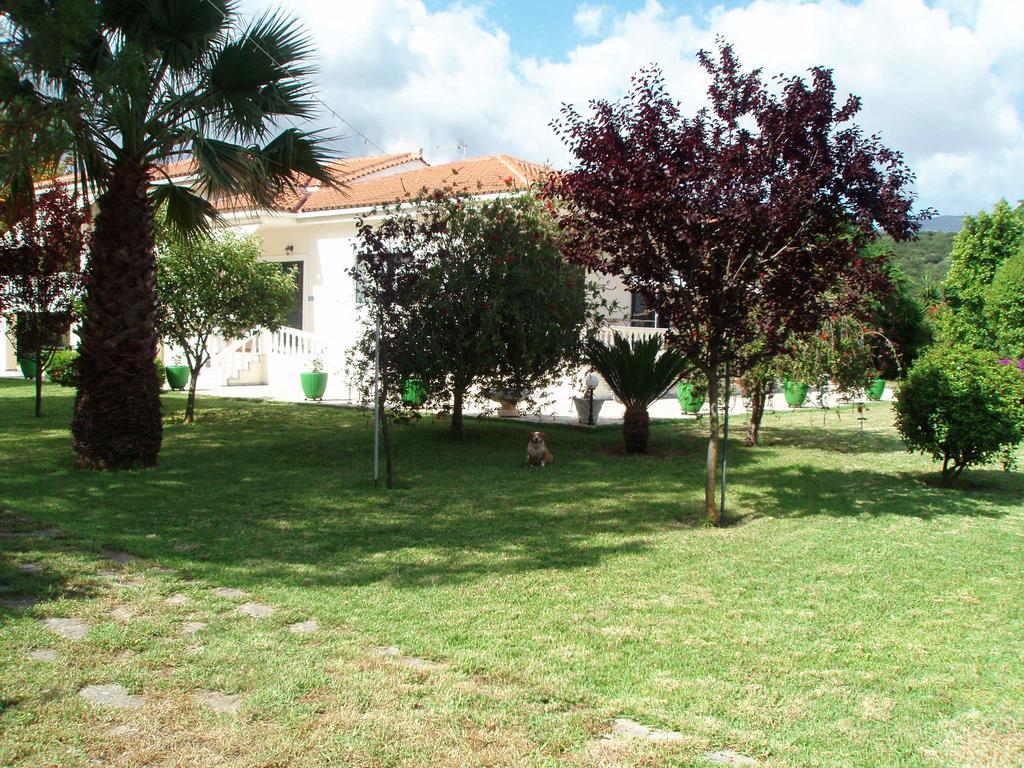 Finikes Studios Kefalonia 萨米 外观 照片