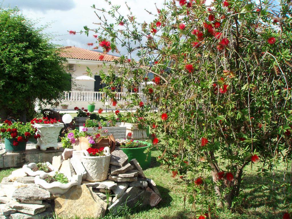 Finikes Studios Kefalonia 萨米 外观 照片