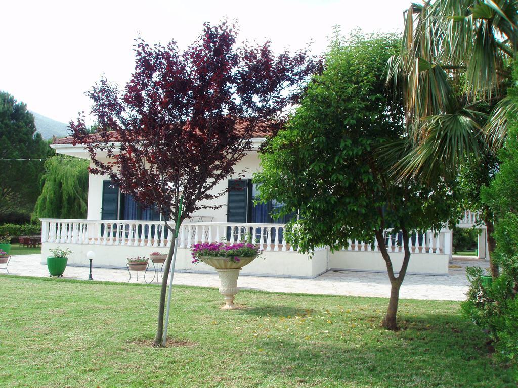 Finikes Studios Kefalonia 萨米 外观 照片