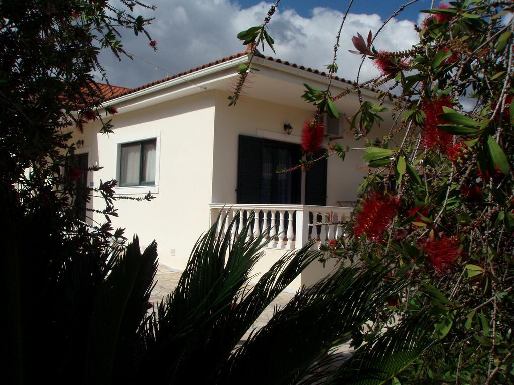 Finikes Studios Kefalonia 萨米 外观 照片