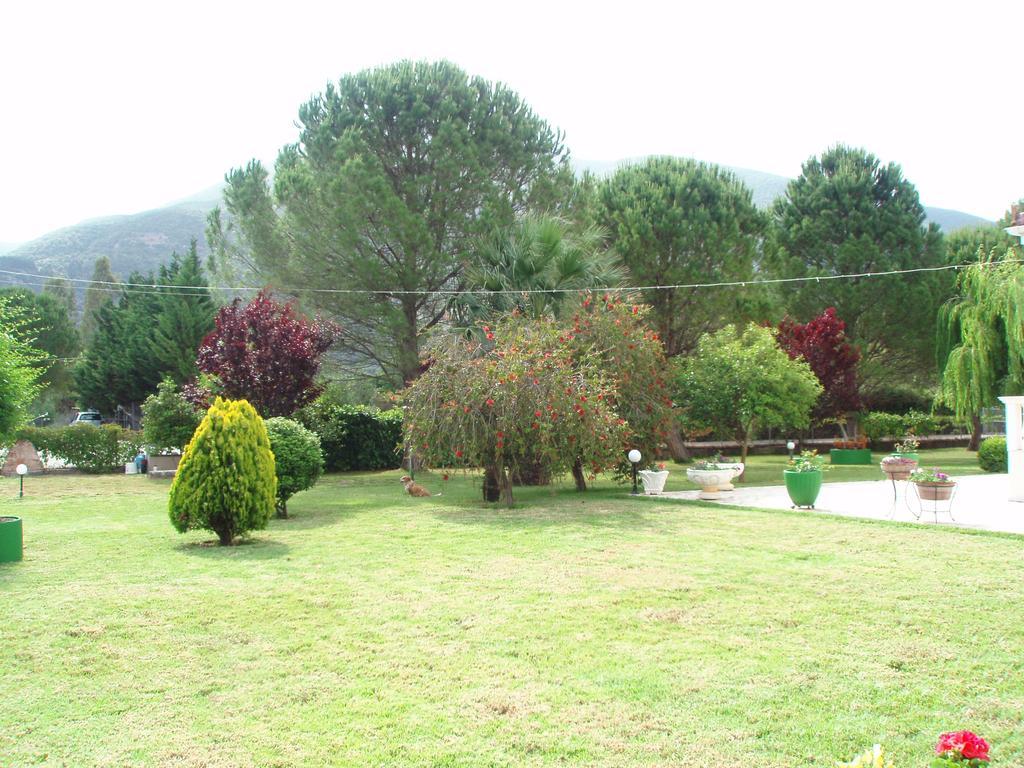 Finikes Studios Kefalonia 萨米 外观 照片