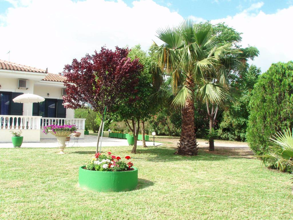 Finikes Studios Kefalonia 萨米 外观 照片