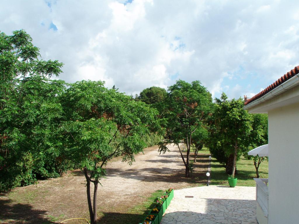 Finikes Studios Kefalonia 萨米 外观 照片
