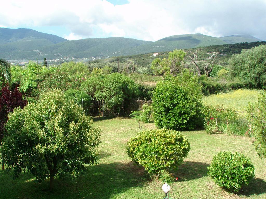 Finikes Studios Kefalonia 萨米 外观 照片